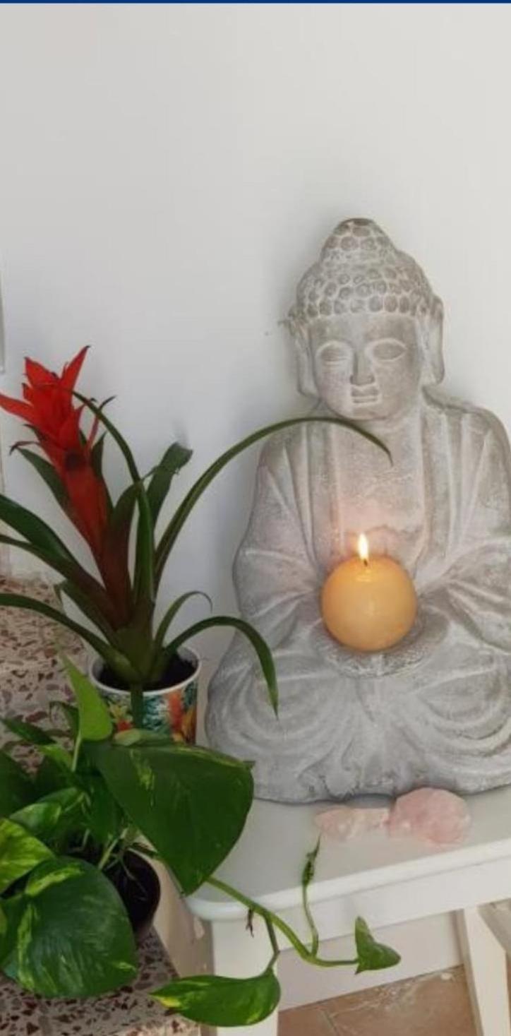 La Calma Guest House - Sea View - Private Spaces 100M Beach 坎德拉里亚 外观 照片